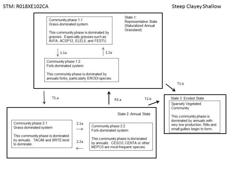 Model diagram