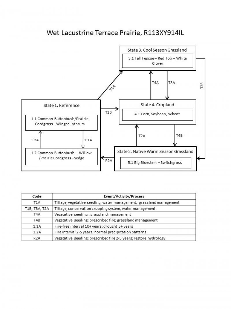 Model diagram