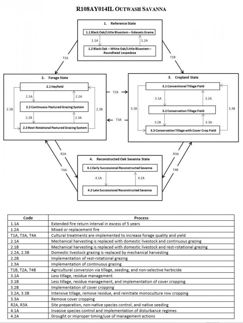 Model diagram