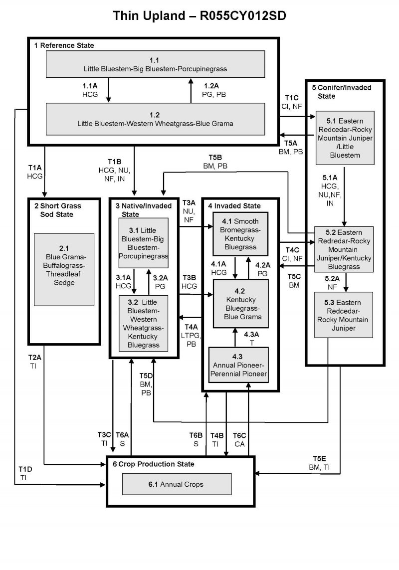 Model diagram