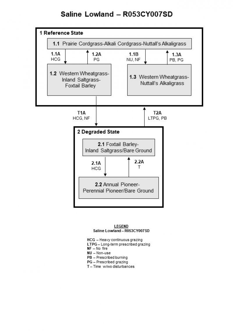 Model diagram
