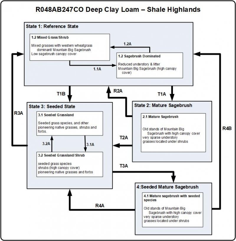 Model diagram