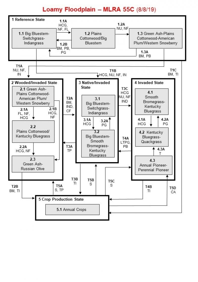 Model diagram