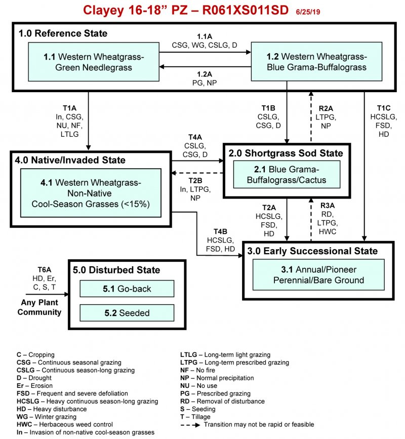 Model diagram