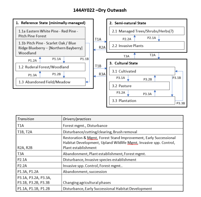 Model diagram