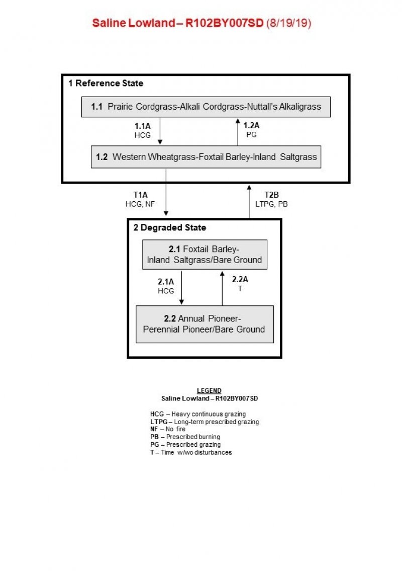 Model diagram