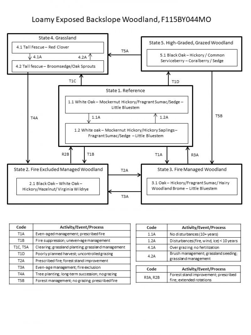 Model diagram