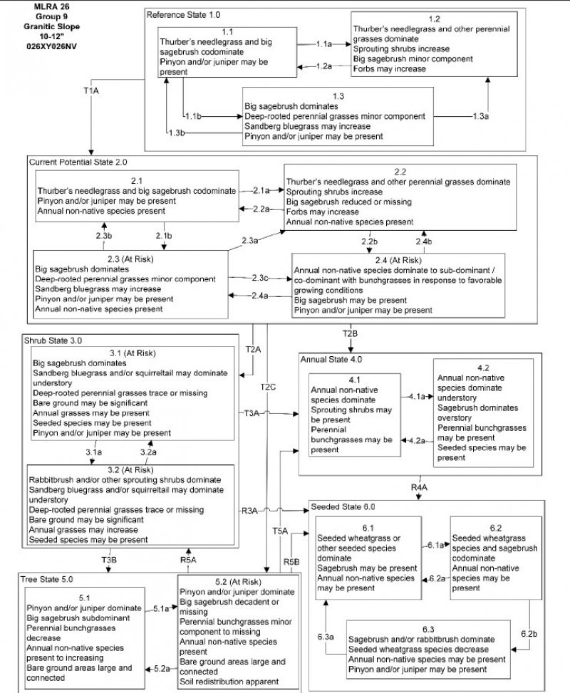 Model diagram