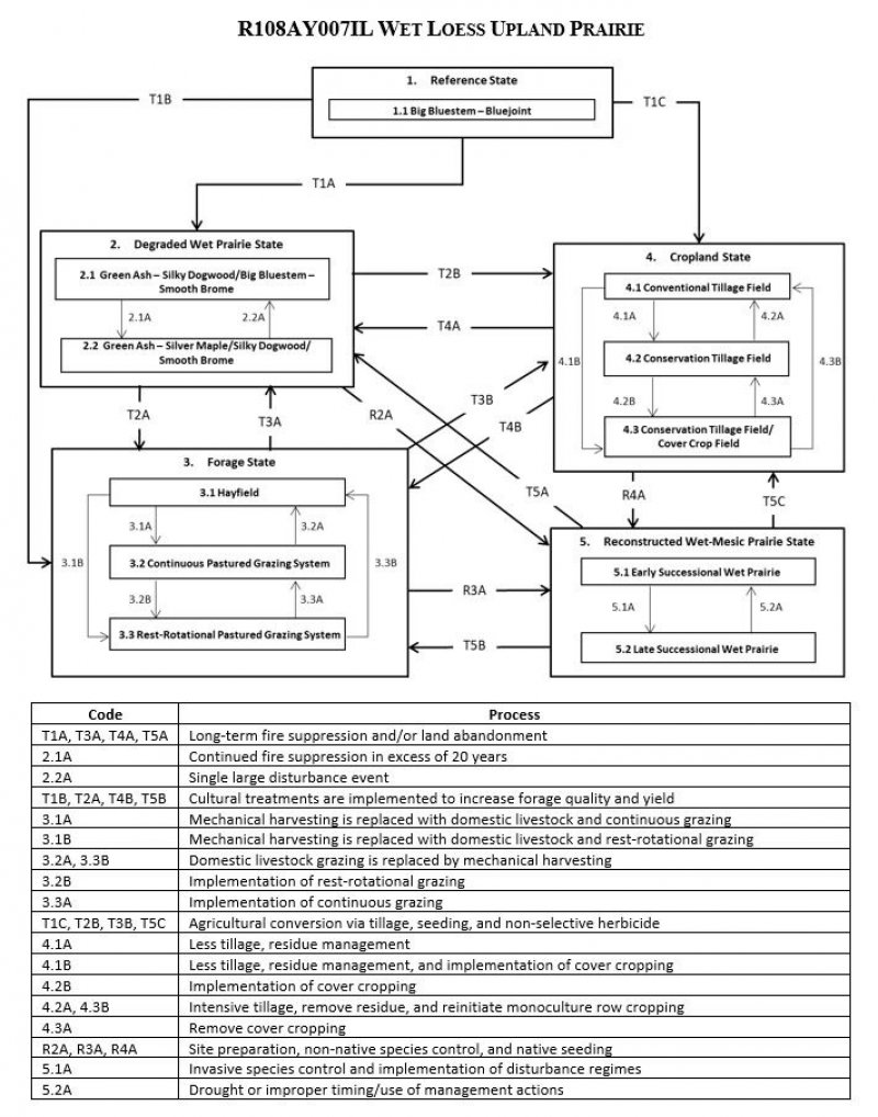 Model diagram