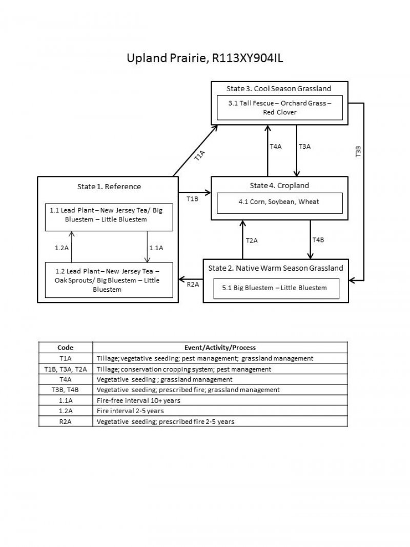 Model diagram