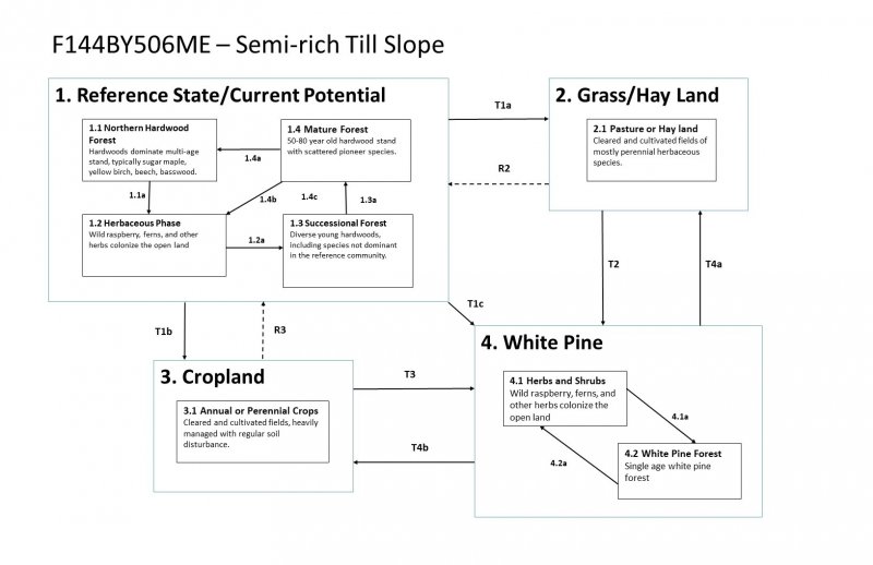 Model diagram