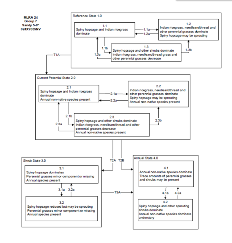 Model diagram