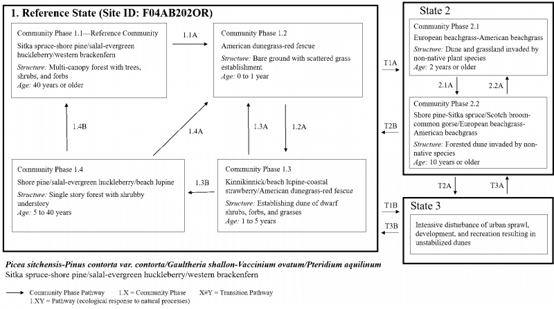 Model diagram
