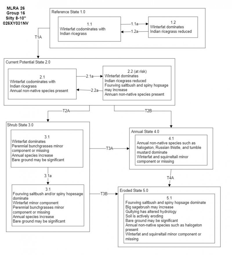 Model diagram
