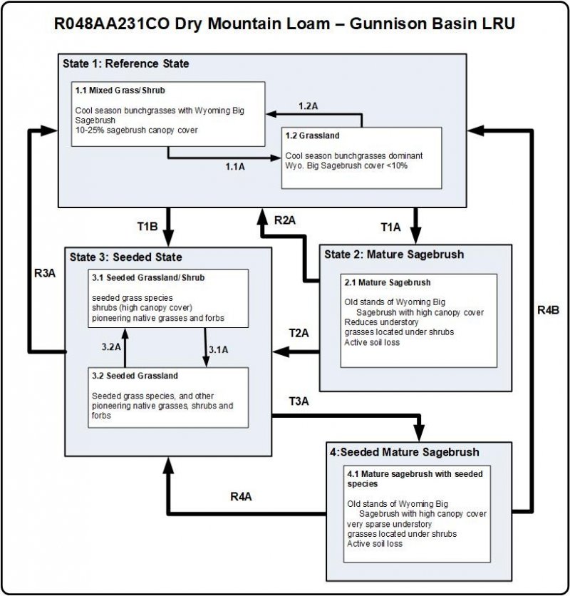 Model diagram