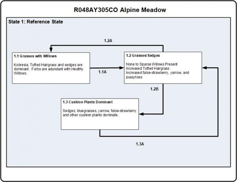 Model diagram