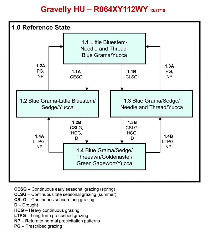 Model diagram