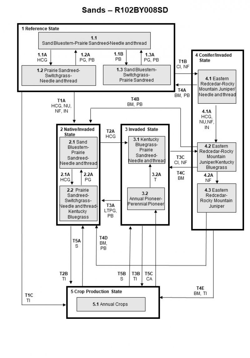 Model diagram