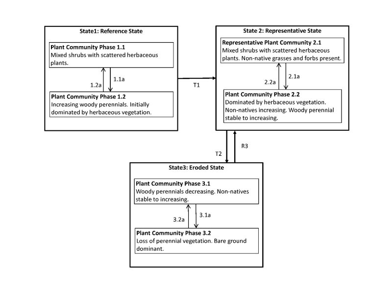 Model diagram