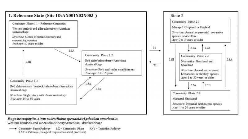 Model diagram