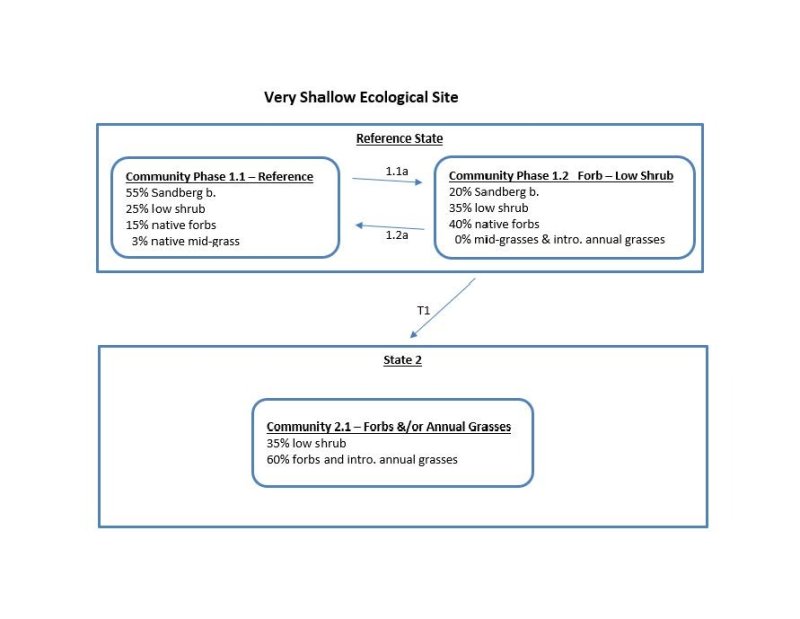 Model diagram