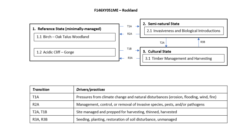 Model diagram