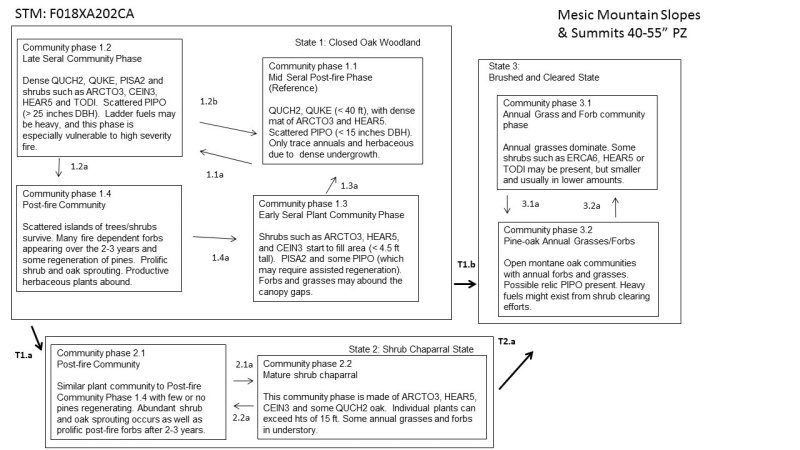 Model diagram