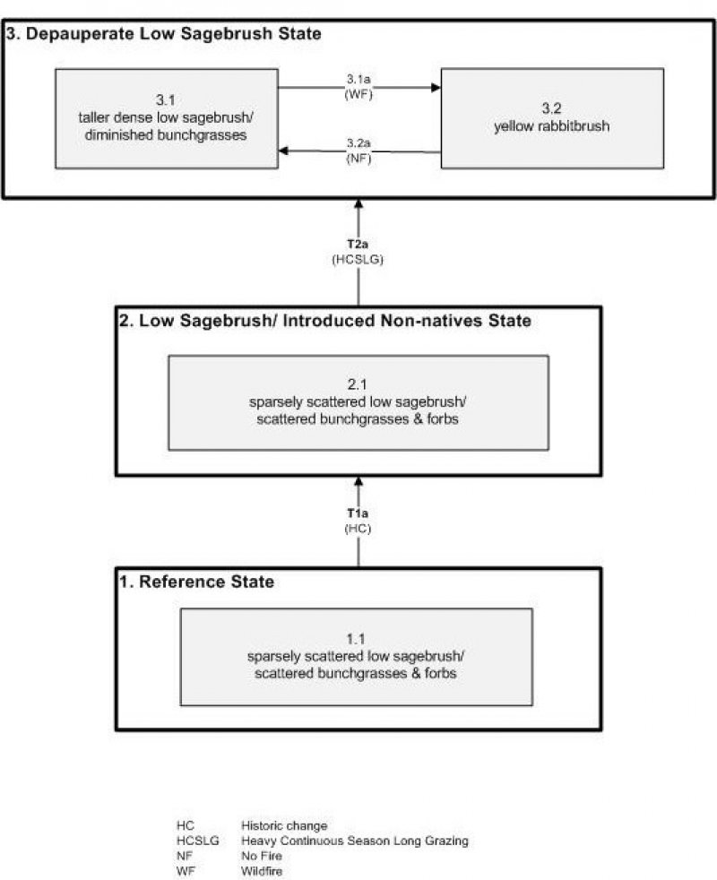 Model diagram