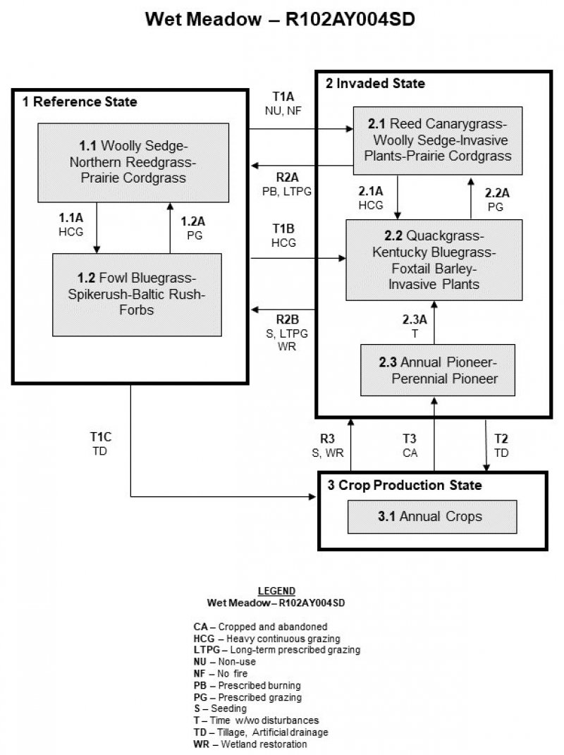 Model diagram