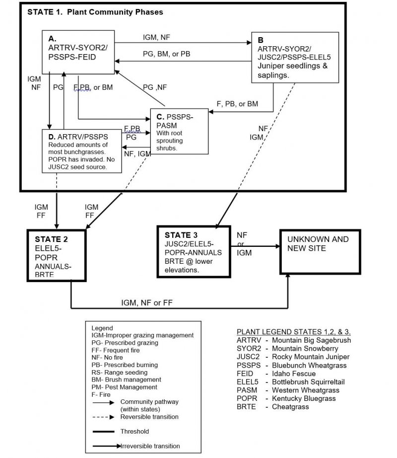 Model diagram