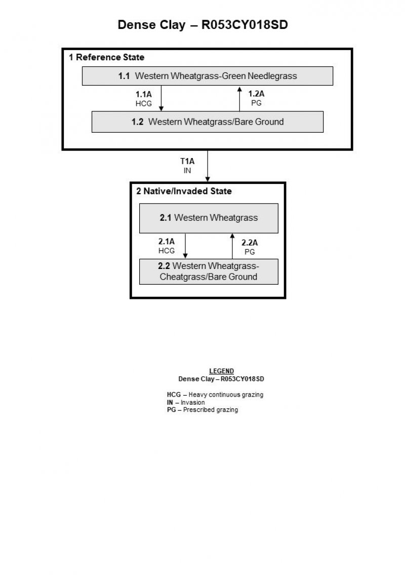 Model diagram