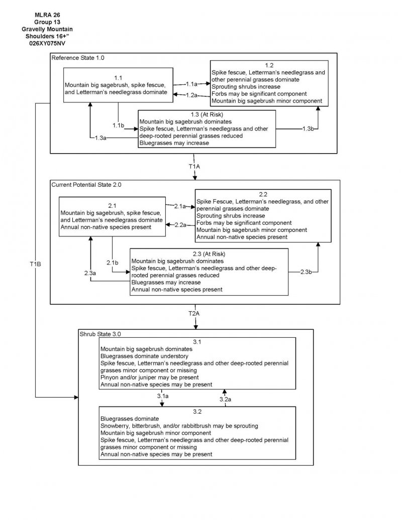 Model diagram