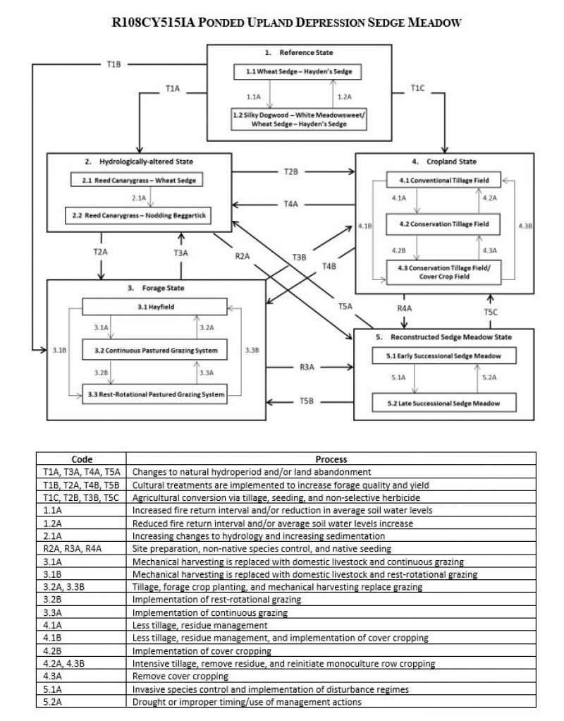 Model diagram
