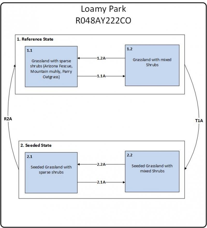 Model diagram