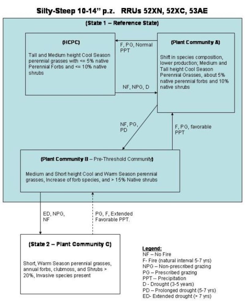 Model diagram