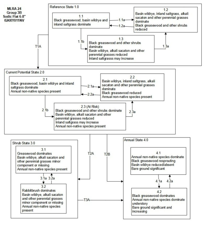 Model diagram