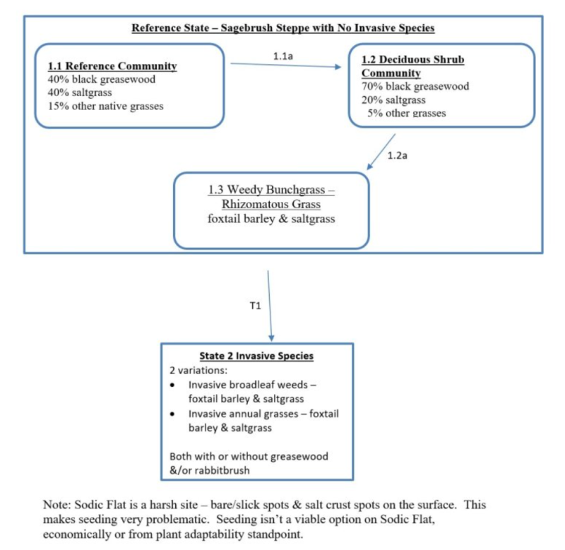 Model diagram