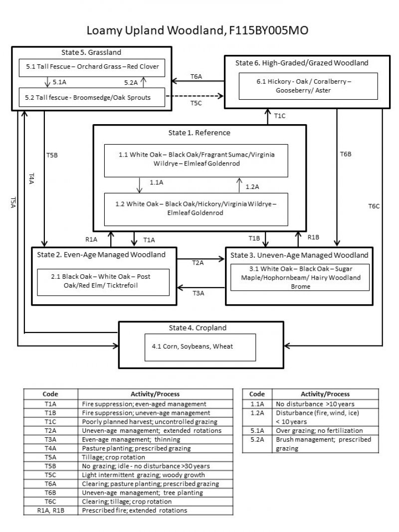 Model diagram