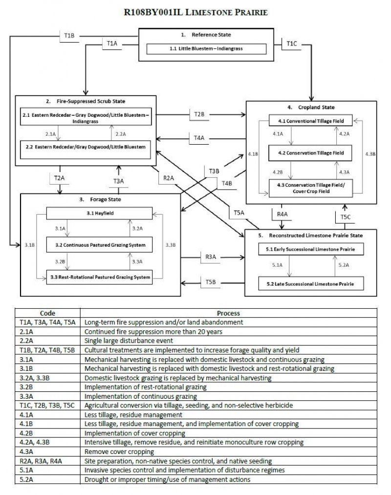 Model diagram