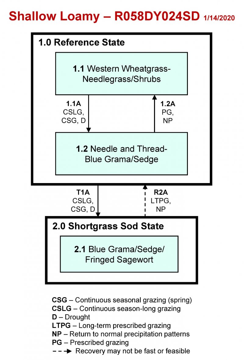 Model diagram