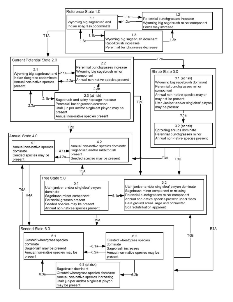 Model diagram