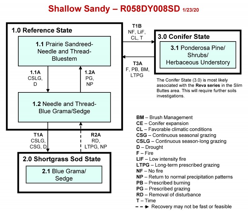 Model diagram