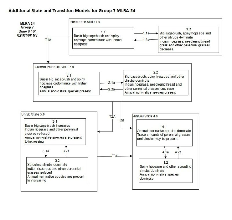 Model diagram