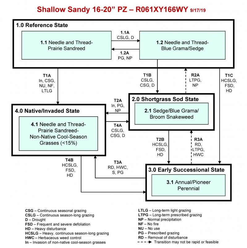 Model diagram