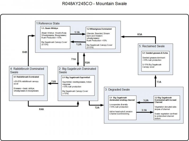 Model diagram