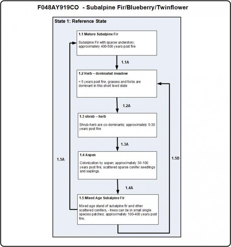 Model diagram