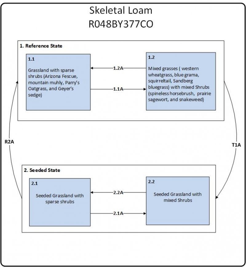 Model diagram