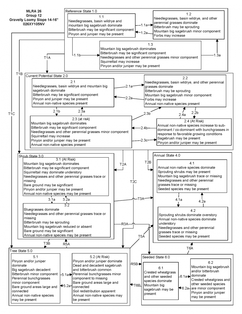 Model diagram