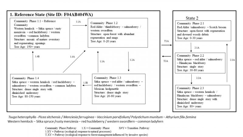 Model diagram