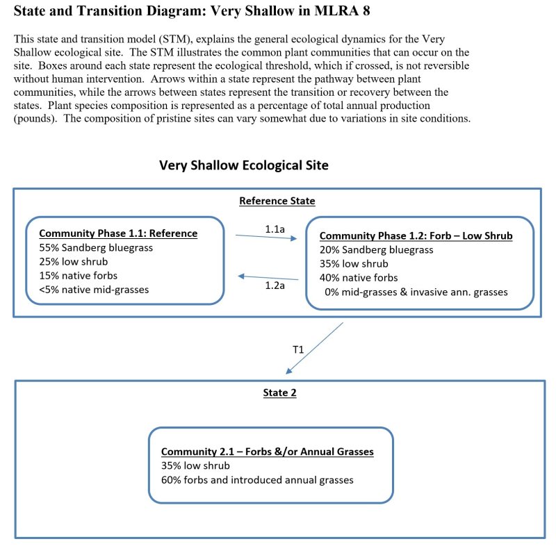 STM R008XY001WA